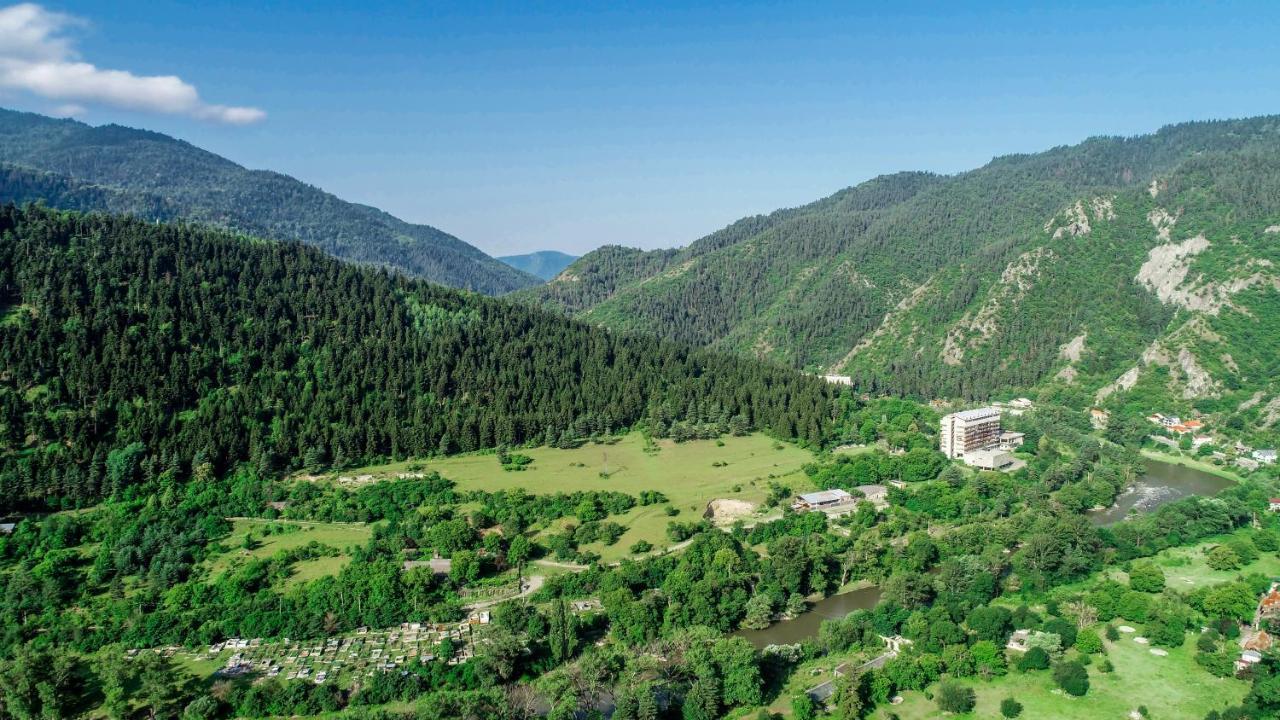 Natali Hotel Borjomi Exterior photo