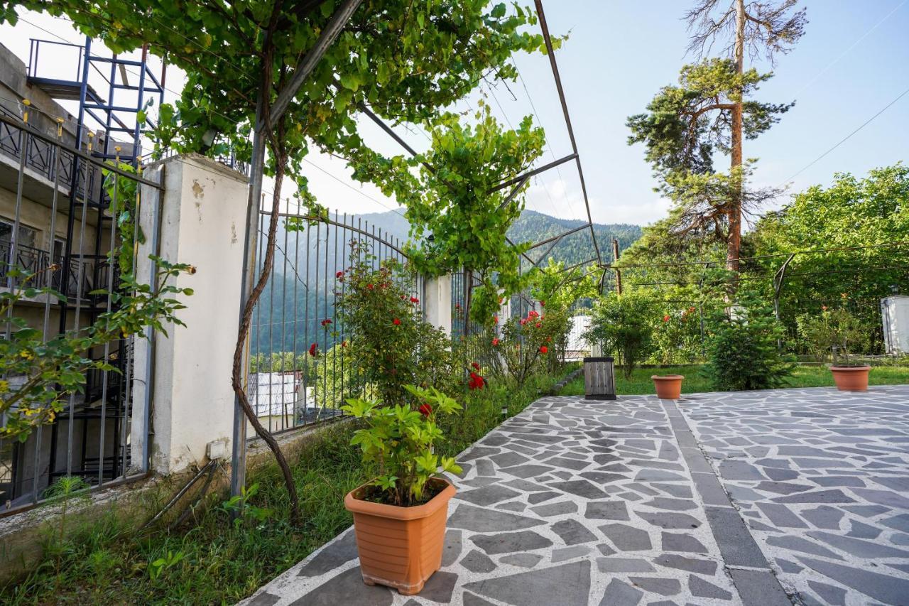 Natali Hotel Borjomi Exterior photo