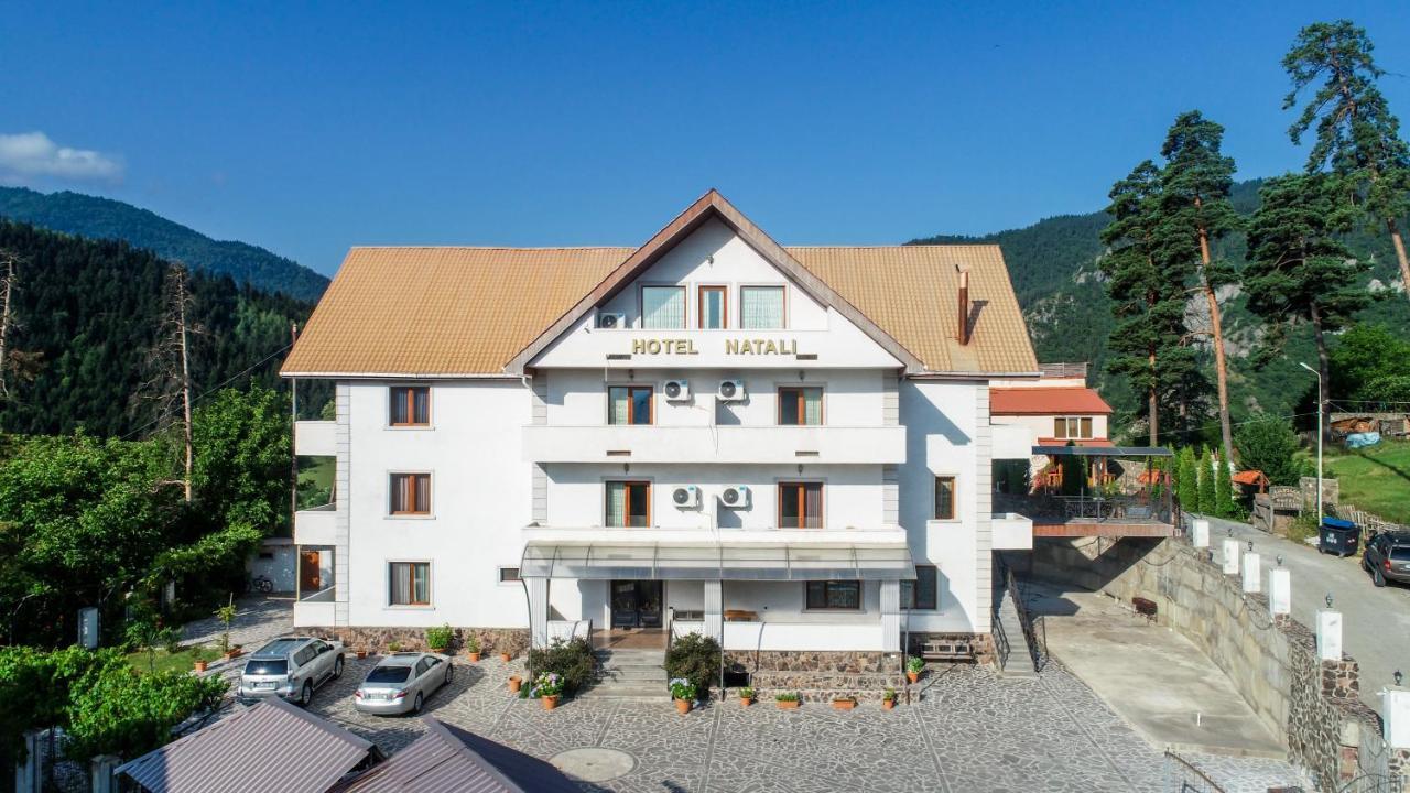 Natali Hotel Borjomi Exterior photo