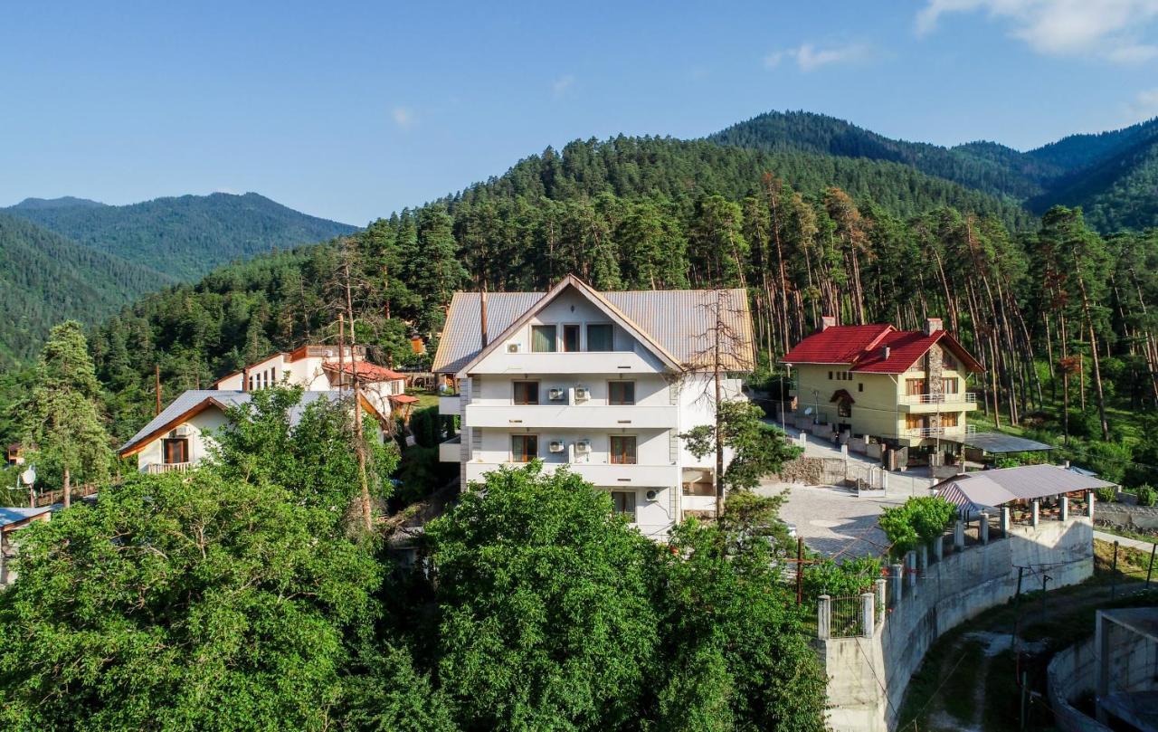 Natali Hotel Borjomi Exterior photo