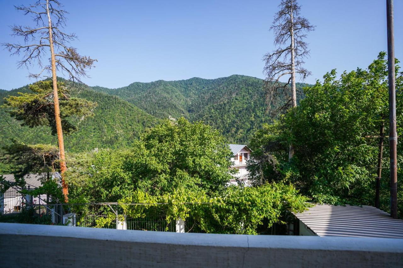 Natali Hotel Borjomi Exterior photo