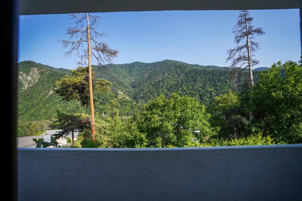 Natali Hotel Borjomi Exterior photo