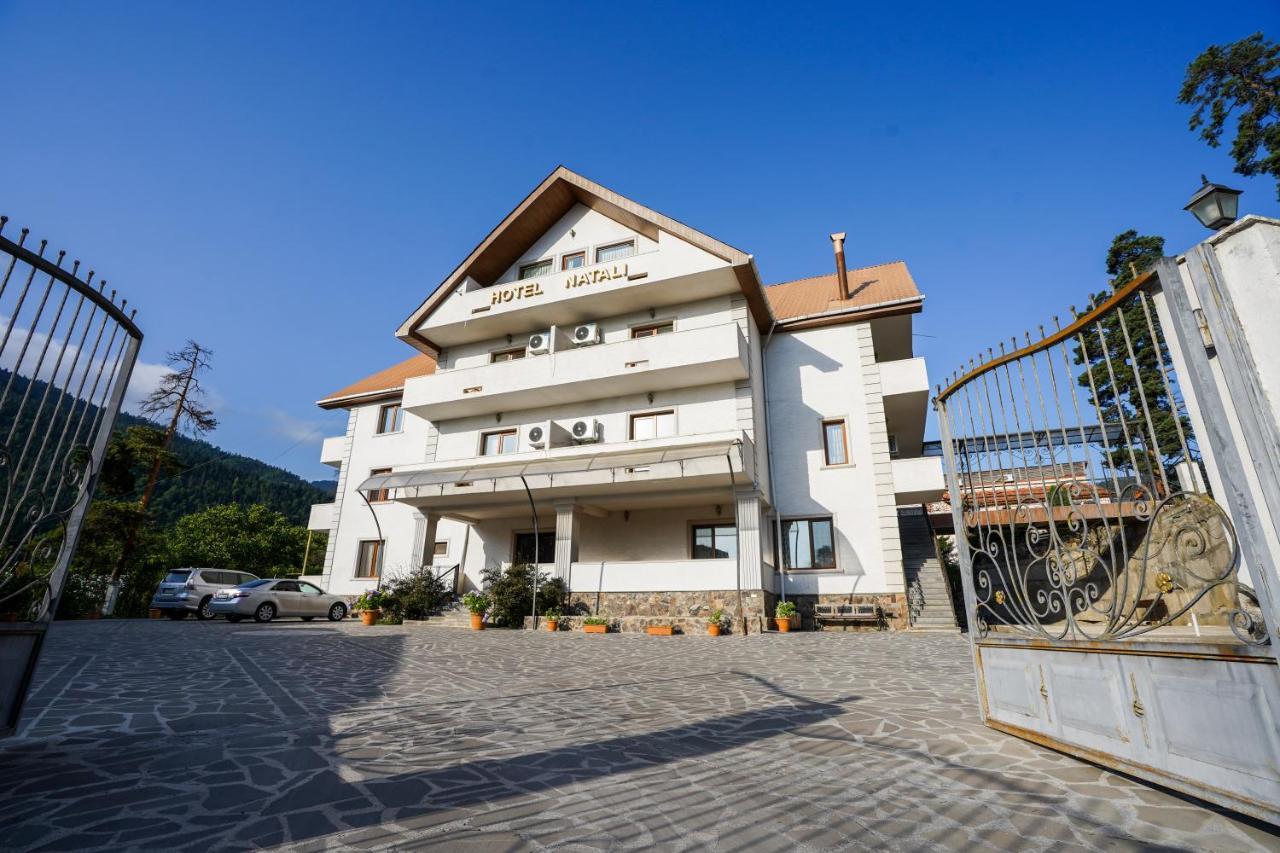 Natali Hotel Borjomi Exterior photo