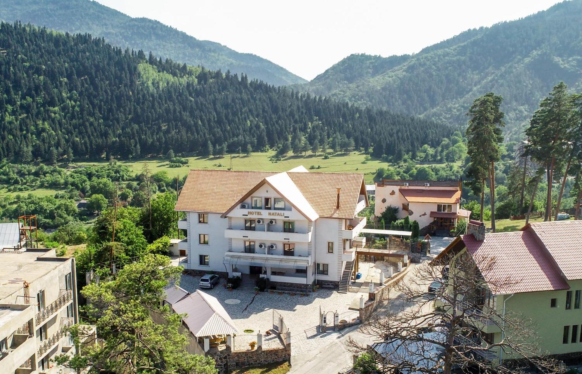 Natali Hotel Borjomi Exterior photo